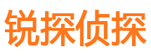 建邺锐探私家侦探公司